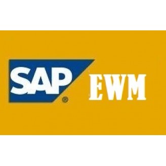 SAP EWM TRAINING VIDEOS @ 75 USD